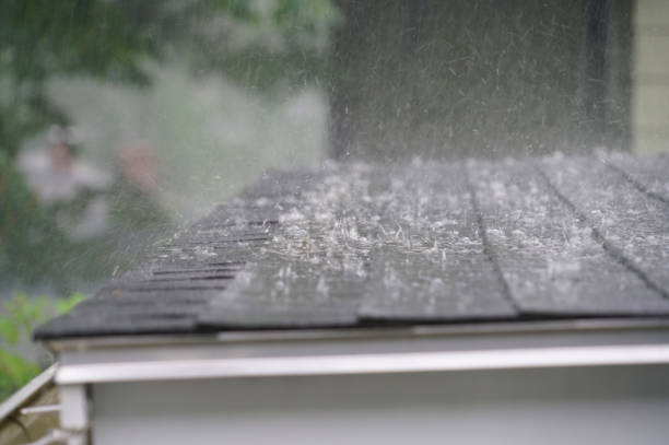 Elm Springs, AR Roofing Services Company